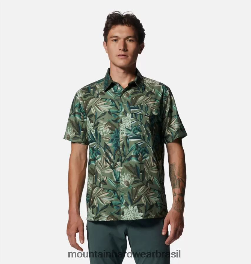 estampa de campo tropicali